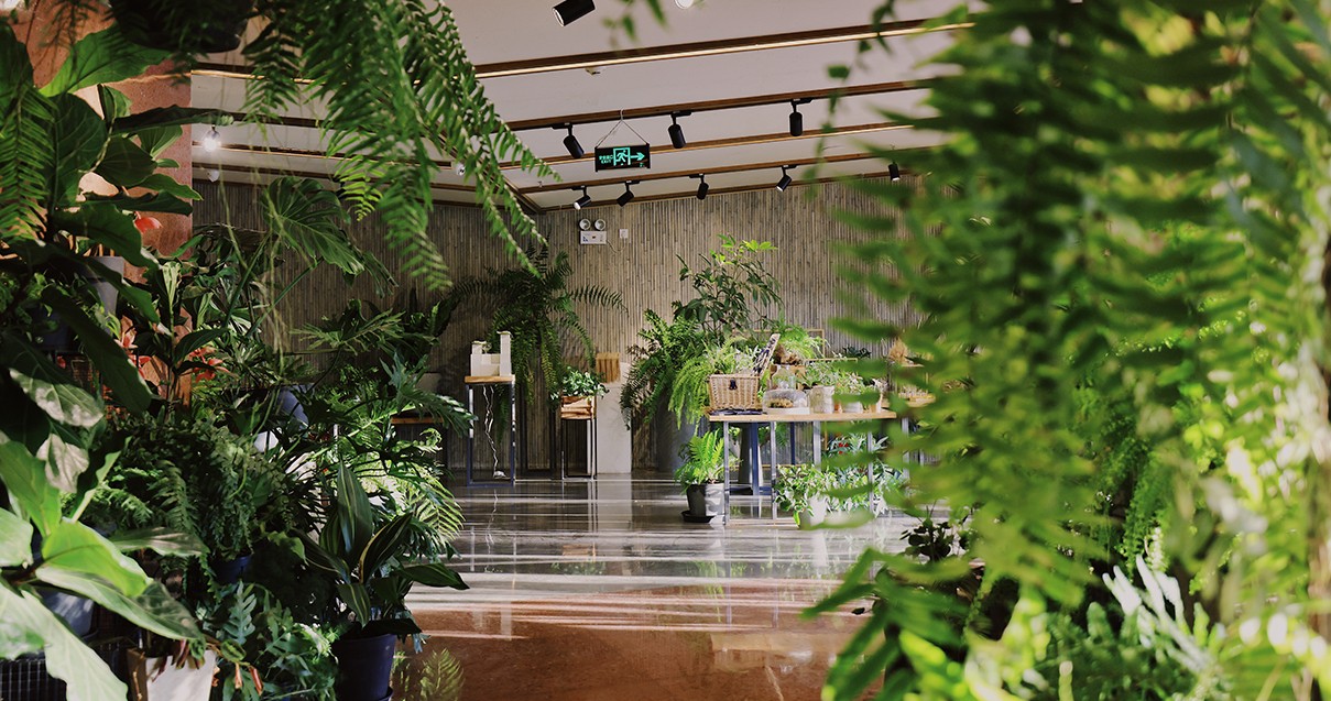 WilliamHill���Ĺٷ���վ���������С��