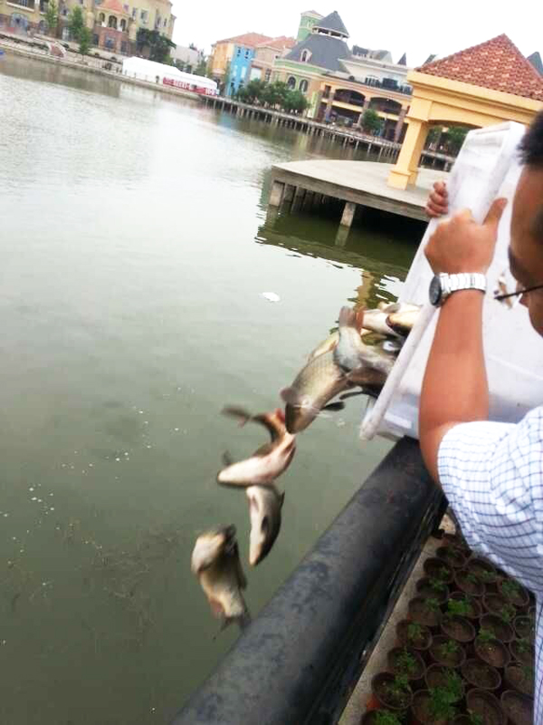 ����ϣ����williamhill(�й�)���Ĺٷ���վ