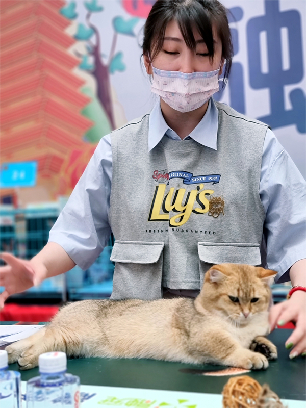 ����ϣ����williamhill(�й�)���Ĺٷ���վ