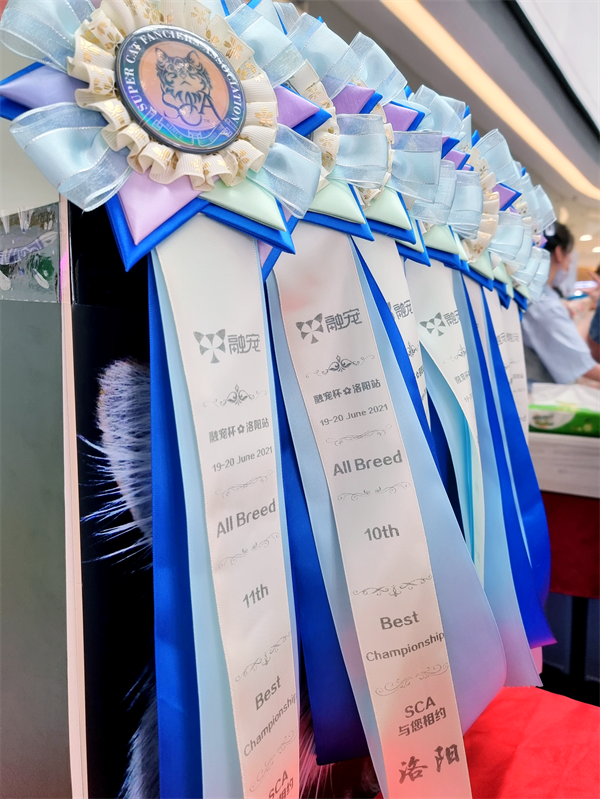 ����ϣ����williamhill(�й�)���Ĺٷ���վ