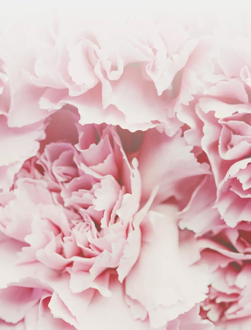 ����ϣ����williamhill(�й�)���Ĺٷ���վ