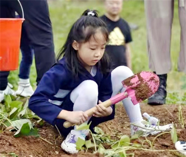 ����ϣ����williamhill(�й�)���Ĺٷ���վ