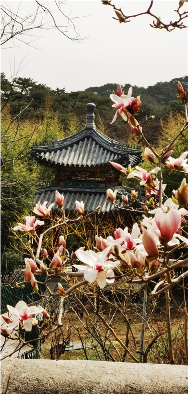 ����ϣ����williamhill(�й�)���Ĺٷ���վ