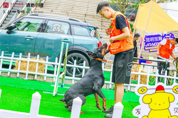 ����ϣ����williamhill(�й�)���Ĺٷ���վ