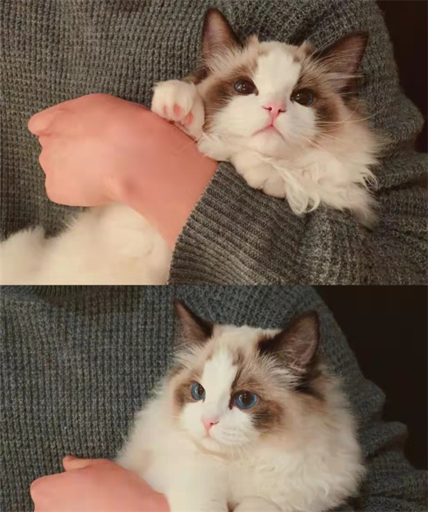 ����ϣ����williamhill(�й�)���Ĺٷ���վ