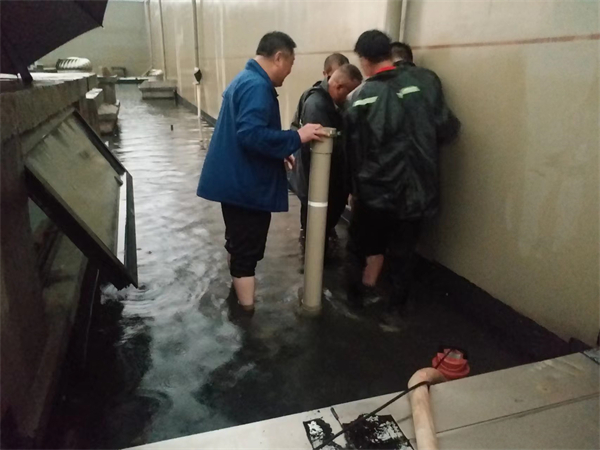 ����ϣ����williamhill(�й�)���Ĺٷ���վ